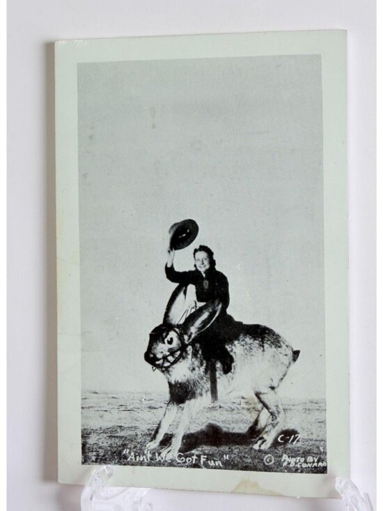 Multakrom Post Card Co. Other - Vintage RPPC Postcard Jackalope Ride Early 20th Century Novelty Exaggeration USA